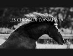 LES CHEVAUX D'ANAHATA Le Cannet-des-Maures