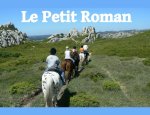 LE PETIT ROMAN 13520