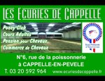 LES ECURIES DE CAPPELLE Cappelle-en-Pévèle