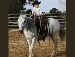 COUNTRY PONY RANCH 03160