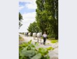 CENTRE EQUESTRE UCPA DU CHESNOY ASSOC UCPA SPO 45200