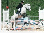 PONEY CLUB ET CENTRE EQUESTRE DES MESNULS 78490