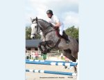 CENTRE EQUESTRE DES GRANDS PINS Plouhinec