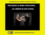 WING CHUN KUNG FU STRASBOURG Bischheim