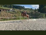 CENTRE EQUESTRE DE L'EMBRUNAIS Puy-Sanières