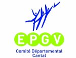 COMITE DEPARTEMENTAL DE GYM VOLONTAIRE 15000