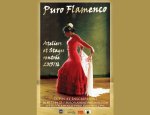 FLAMENCO PURO Montpellier