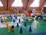 L'AVENIR SPORTIF DE CHANCEAUX SECTION JUDO Chanceaux-sur-Choisille