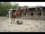 CENTRE EQUESTRE PONEY CLUB LA VARAUDE 21110