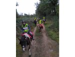 ECURIE PONEY CLUB DU GRAND BOIS 31470