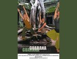 GUARANA 83440
