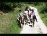 PONEY CLUB DE VELIZY 78140