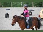 PONEY-CLUB DE SAINTE COLOMBE 50390