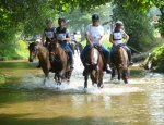 CENTRE EQUESTRE EQUI-FEEL Vouvant
