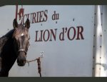 Photo LES ECURIES DU LION D'OR