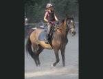Photo ASSOC DE LOISIRS EQUESTRES LA CARRIOLE