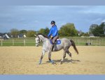 Photo CENTRE EQUESTRE 3 RIVIERES EQUITATION