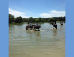 CENTRE EQUESTRE LA RIVIERE 69850