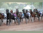 HIPPODROME DE SAINT MALO 35400