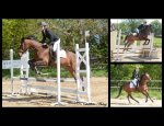 Photo LA PIROUETTE EQUITATION