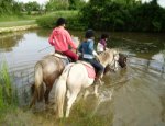 PONEY CLUB DES GALOPINS Coulombiers