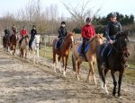 CENTRE EQUESTRE SLAS JUMPING Marckolsheim
