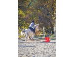 PONEY CLUB DESPORTIS 84160
