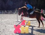 Photo PONEY CLUB DESPORTIS