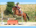 BLAGNAC CONSTELLATION EQUITATION Colomiers