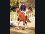 CENTRE EQUESTRE D'AMELIE 66110
