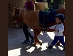 PONEY CLUB DES OLIVIERS 29940