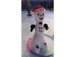 Photo PATINOIRE CYBER GLACE