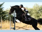 CENTRE EQUESTRE DE LA TORCHE Plomeur