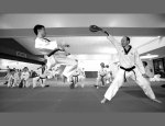 TAE KWON DO PARIS 13EME CLUB DOJANG Paris 13