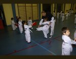 TAEKWONDO VENISSIEUX 69200