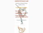 AMIENS PATINAGE CLUB 80000