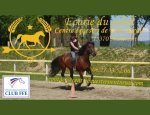 CENTRE EQUESTRE DE PONT ROYAL, L'ECURIE DU SOLEIL Mallemort