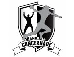 HANDBALL CONCERNADE 13760