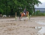 PONEY CLUB MERIGNACAIS 33700