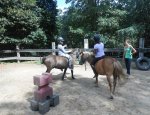 LES PONEYS DU VAL D'EMERAUDE 30460