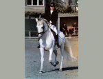 Photo CENTRE EQUESTRE DE BILLIERS