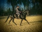 LACANAU EQUI-PASSION 33680