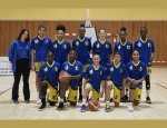 COMITE DEPARTEMENTAL BASKET BALL 94700