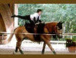 Photo CENTRE EQUESTRE DU NEUBOURG