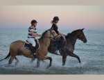 CENTRE EQUESTRE ET PONEY CLUB DE PORNIC 44210