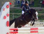 Photo CENTRE EQUESTRE DES TEMPLIERS