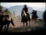 Photo AMERICAN HORSE FARM
