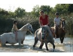 FERME EQUESTRE LA SERVIE Belfort-du-Quercy