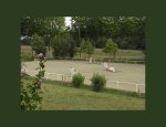 CENTRE EQUESTRE DU VOLVESTRE 31310