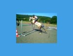 Photo CENTRE EQUESTRE DES ESSES